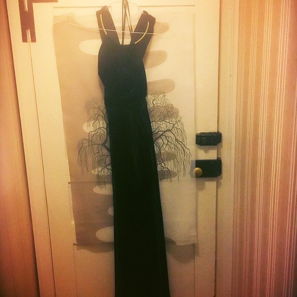 Vintage xscape velvet and silk gown